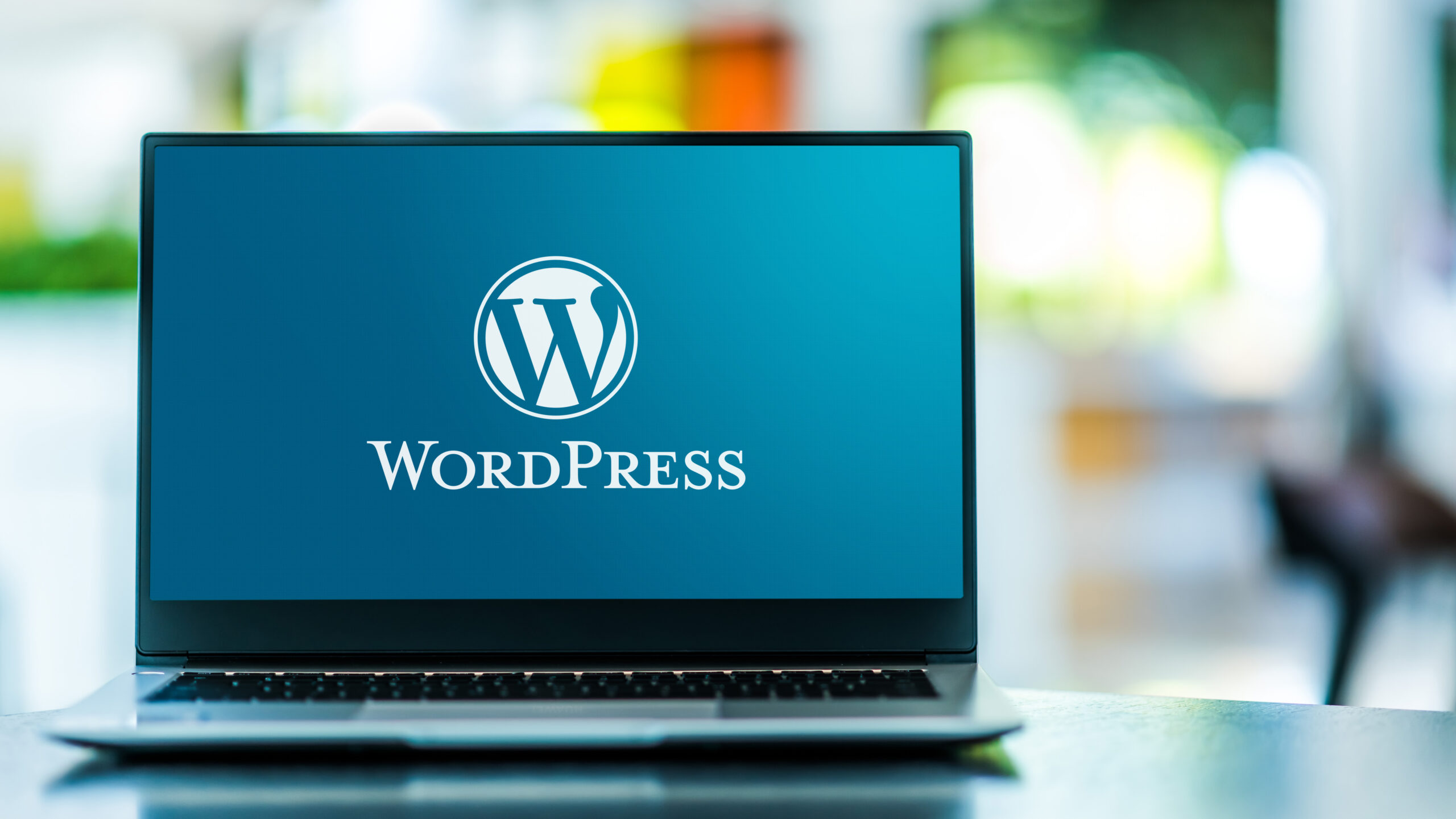 Who Can Benefit from WordPress SEO?